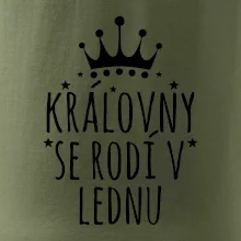 Královny se rodí v lednu