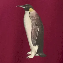 Tučňák kreslený vodovými barvami