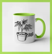 Konopi prostě pěstuju