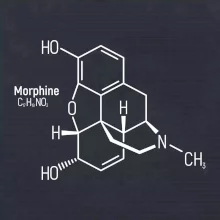 Molekulární struktura Morfin