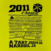 2011 v kostce