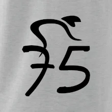 Cyklista slaví pětasedmdesátku (75)