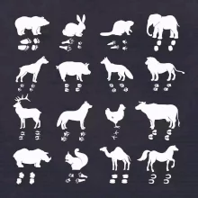 Zvířecí stopy s obrázkem zvířete - stopy zvířat