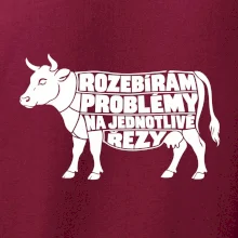 Rozebírám problémy na jednotlivé řezy