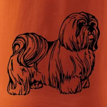 Shih-tzu - chlupatý