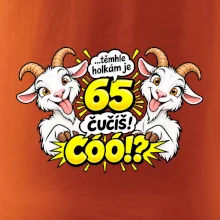 Těmhle holkám je 65, čučíš co?