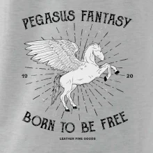 Pegasus fantasy
