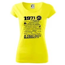 1971 v kostce