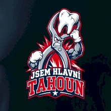 Jsem hlavní tahoun
