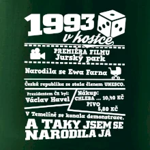 1993 v kostce