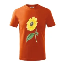 Slunečnice otočená