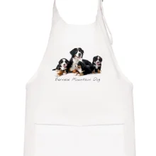 Bernese mountain dog celá rodina