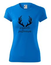 Harry - Expecto patronum