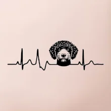 Lagotto romagnolo hlava EKG