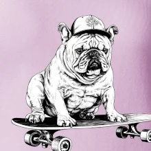 Černobílý buldok na skateboardu