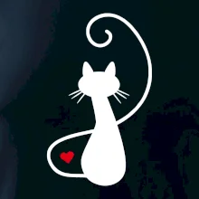 Zamilovaná kočka zpředu