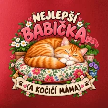Nejlepší babička a kočičí máma spící zrzavý kocour