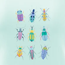 Barevní brouci (studio-arte.cz)