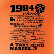 1984 v kostce