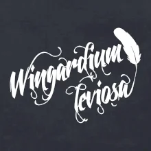 Harry - Wingardium Leviosa