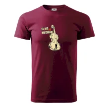 Já nic, já muzikant