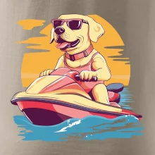 Zlatý retrívr na vodním skútru