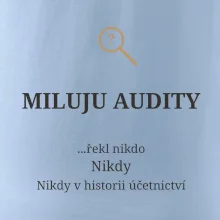 Miluju audity řekl nikdo nikdy