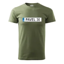 SPZ Pavel 30