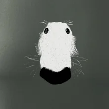 Barzoj čumák (Moňas)