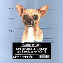 Lump a darebák čivava