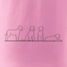 Lagotto romagnolo postavy linka