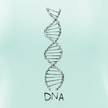 Cyklistovo DNA