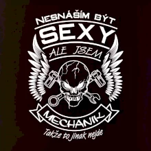 Nesnáším být sexy - mechanik