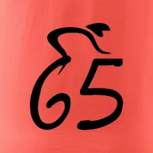 Cyklista slaví pětašedesátku (65)