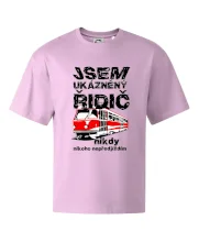 Jsem ukázněný řidič - tramvaj