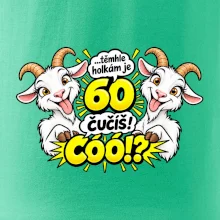 Těmhle holkám je 60, čučíš co?