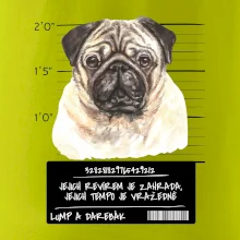 Lump a darebák mopsík