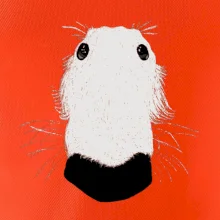 Barzoj čumák (Moňas)