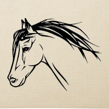 Kůň - hlava celá