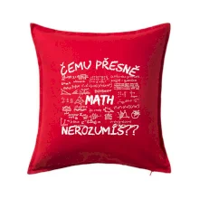 Čemu přesně nerozumíš? Matematika Čemu přesně nerozumíš? Matematika