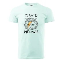 David Meowie