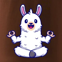 Yoga meditace - lama