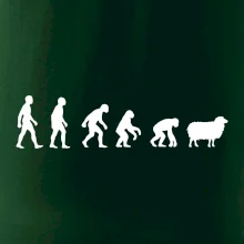 Evoluce ovce