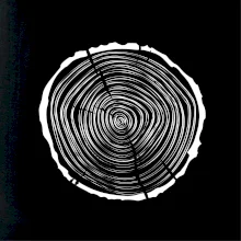 Letokruhy 30 bez věku