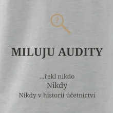 Miluju audity řekl nikdo nikdy