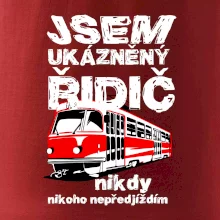 Jsem ukázněný řidič - tramvaj