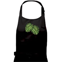 Monstera - dva listy Monstera - dva listy
