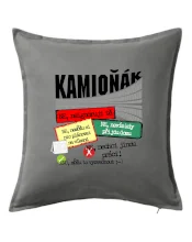 Výhody řidiče kamionu