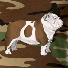 Vintage English bulldog