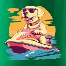 Zlatý retrívr na vodním skútru